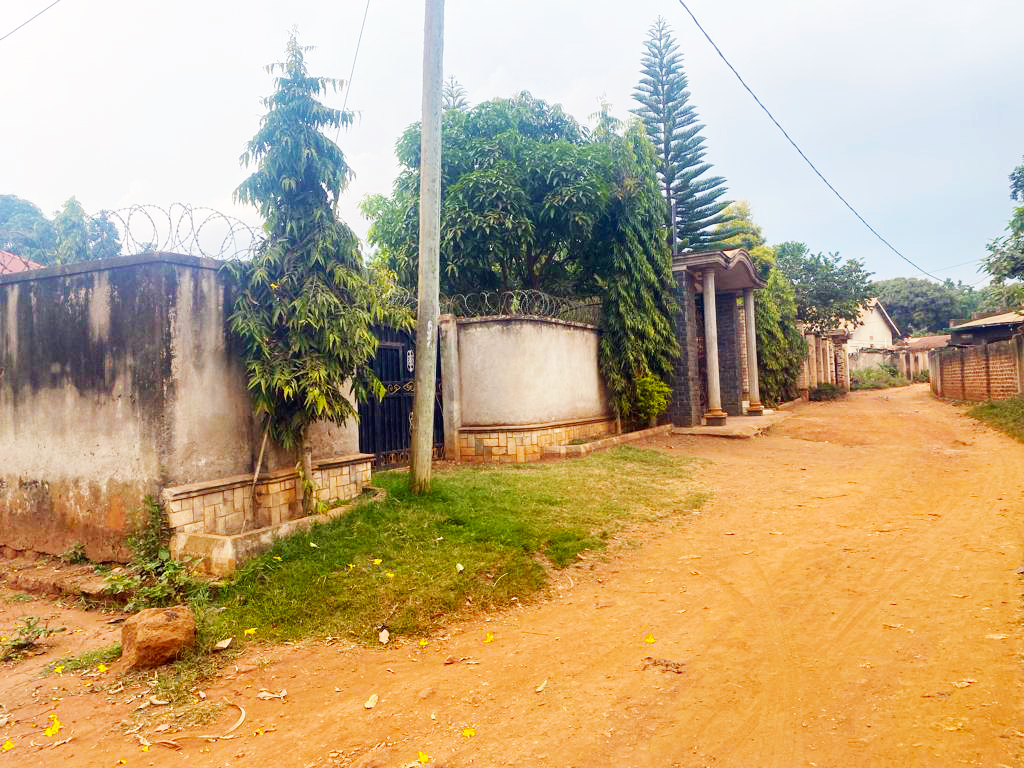 WhatsApp Image 2023-08-23 at 9.43.51 AM 7.jpeg